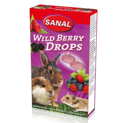 Лакомство Sanal "Wild Berry" дропсы с лесными ягодами для грызунов 45гр