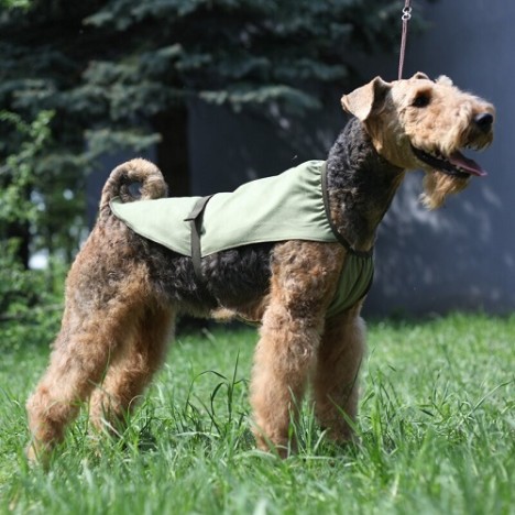 Охлаждающая попона OSSO Fashion для собак