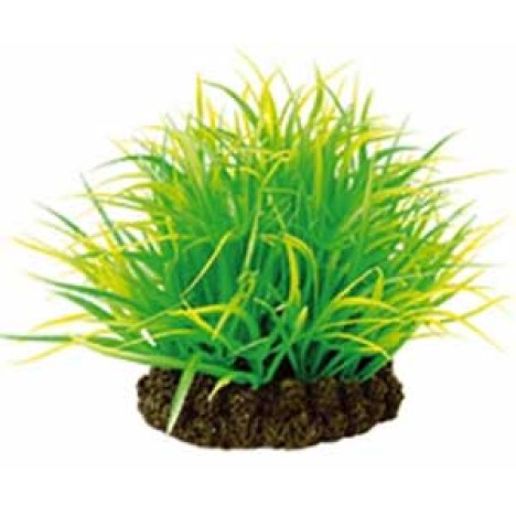 Растение Dezzie 7см пластик блистер 5610161