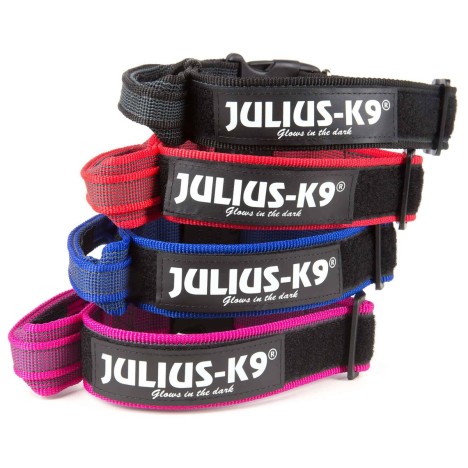Ошейник JULIUS-K9 для собак Color & Gray с закрытой ручкой (38-53см/4см)