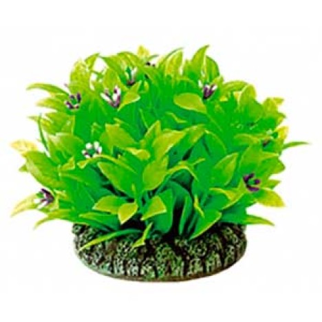 Растение Dezzie 7см пластик блистер 5610163